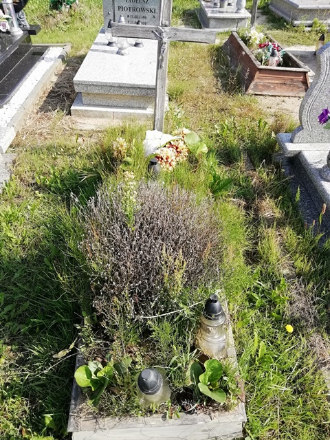 Bogdan Przybylski 1939 Grudziądz - Grobonet - Wyszukiwarka osób pochowanych