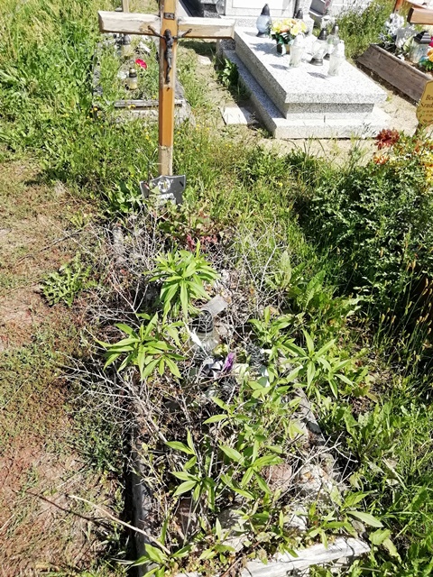 Edmund Klosinski 1943 Grudziądz - Grobonet - Wyszukiwarka osób pochowanych